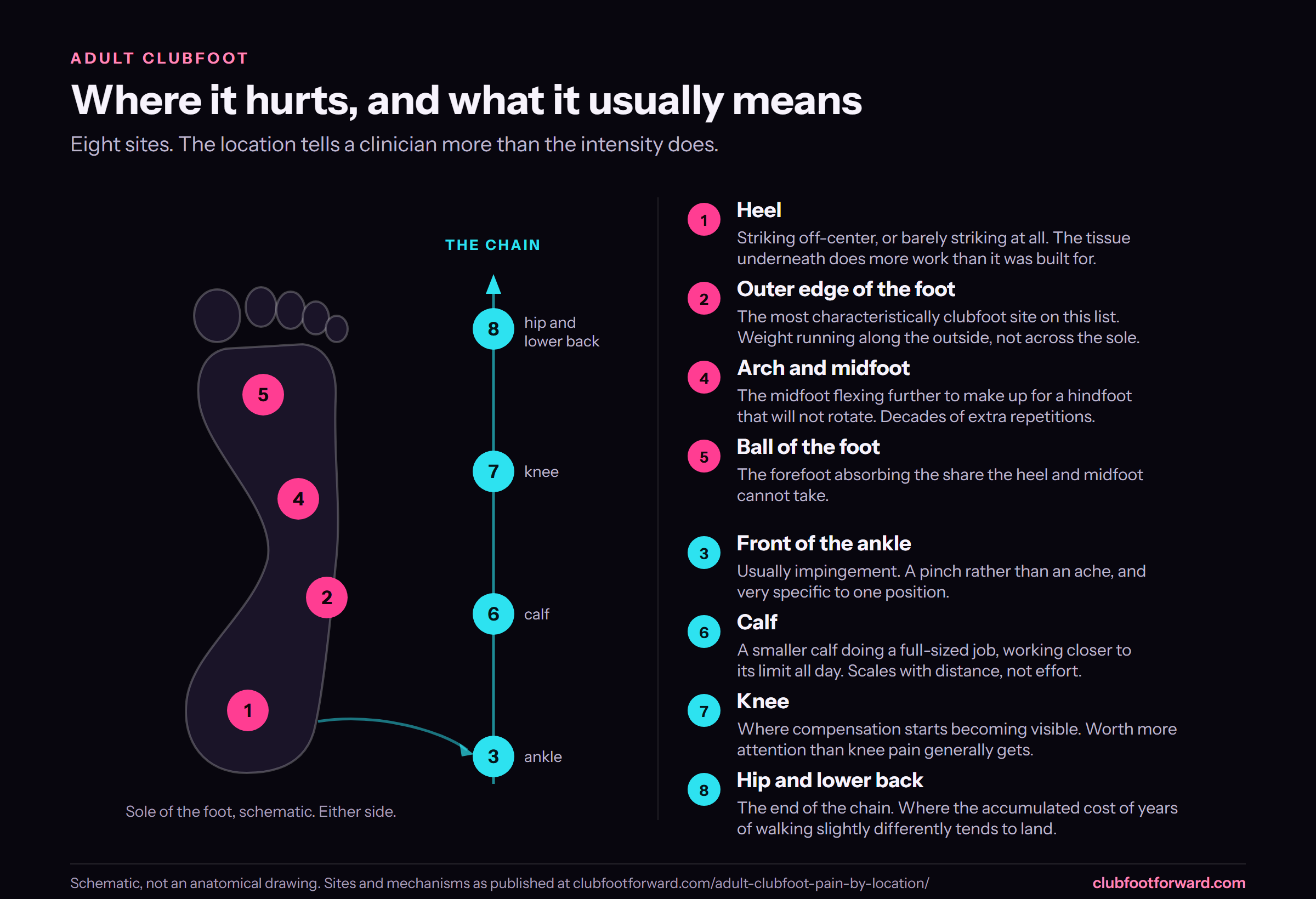 Diagram of eight adult clubfoot pain locations. Four on the sole of the foot: heel, outer edge, arch and midfoot, and ball of the foot. Four running up the chain above it: front of the ankle, calf, knee, and hip and lower back.