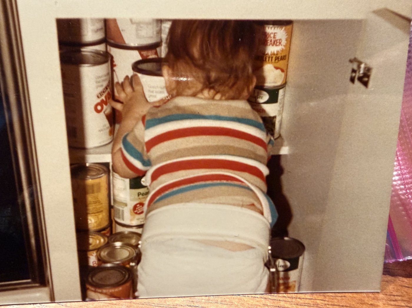 Toddler standing at an open pantry, a white harness around the hips over the diaper with a metal fitting at the side